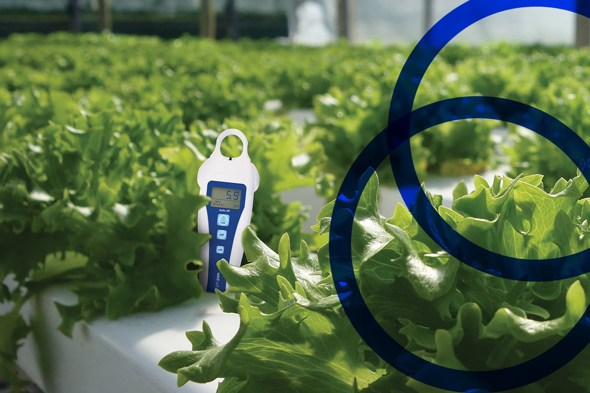 BLUELAB LED Grow Lights NZ