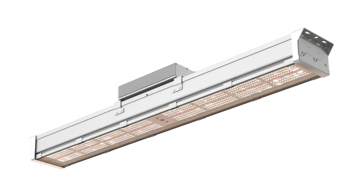 LED Grow Lights NZ Shop LED Grow Lights NOW