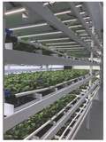 HORTI-SLIM ( 2 UNITS FOR THIS PRICE ) 20W LED GROW BAR